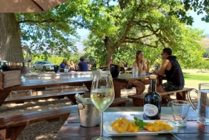Cape Town: Stellenbosch, Franschhoek and Paarl Wine Day Trip