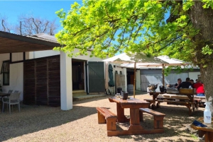 Cape Town: Stellenbosch, Franschhoek and Paarl Wine Day Trip