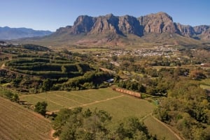 Franschhoek: Wine Tram & Stellenbosch Town Full day tour
