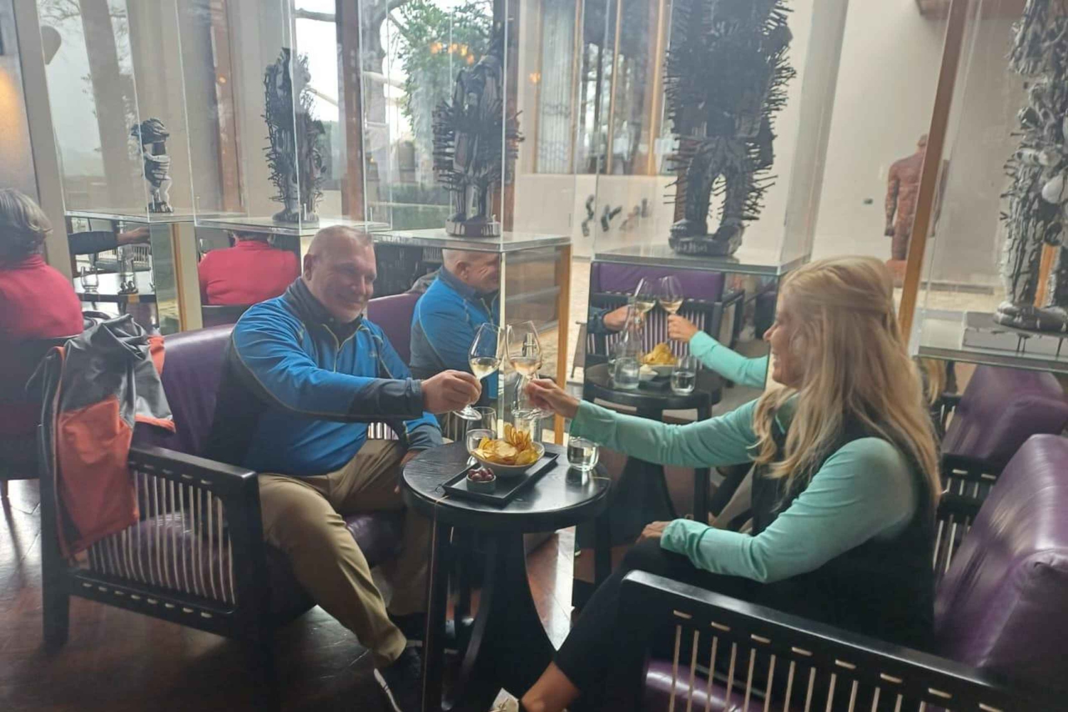 Regione di Stellenbosch, Franshoek, Paarl (20 degustazioni)