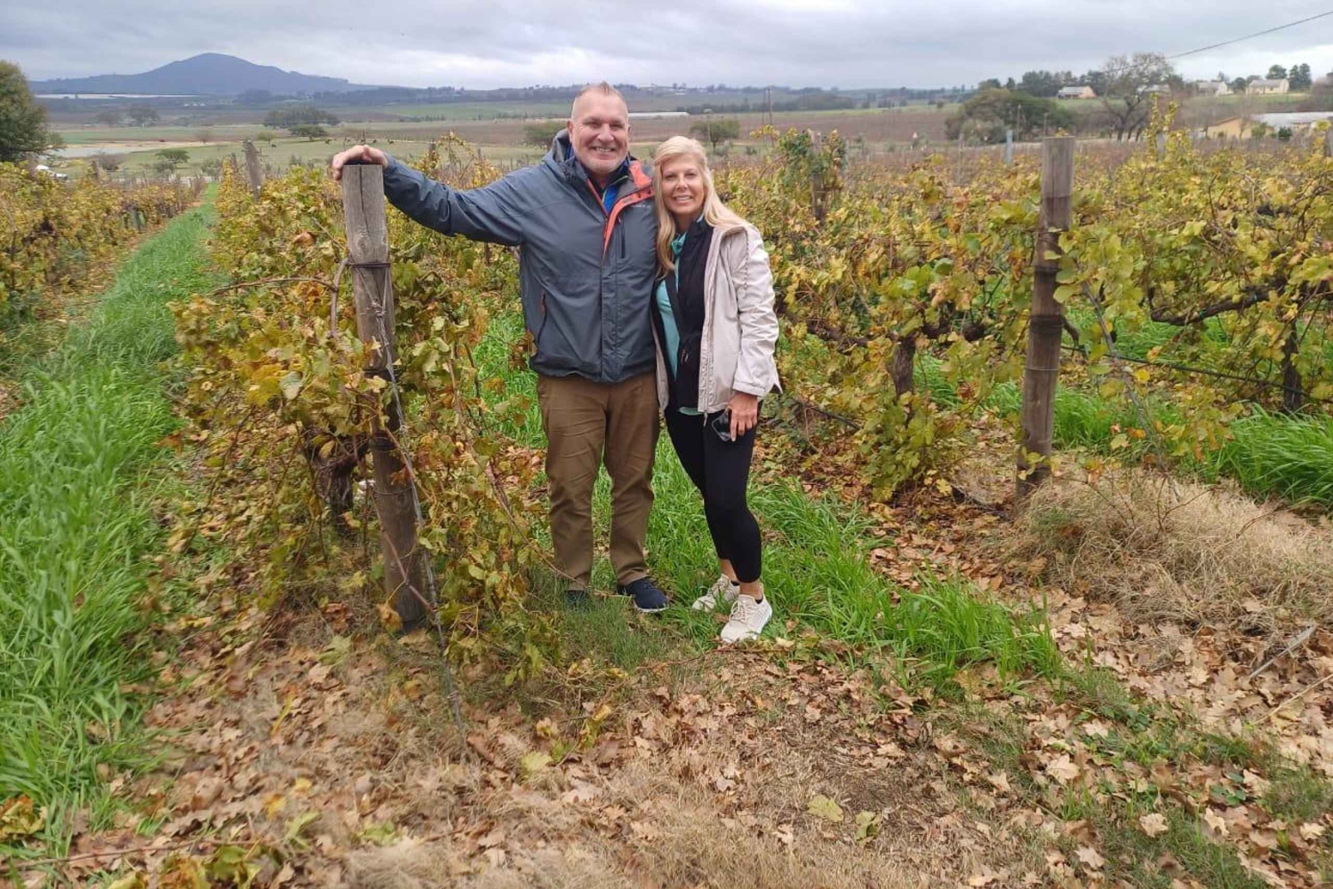 Regione di Stellenbosch, Franshoek, Paarl (20 degustazioni)