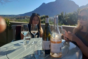 Regione di Stellenbosch, Franshoek, Paarl (20 degustazioni)