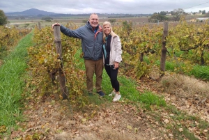 Regione di Stellenbosch, Franshoek, Paarl (20 degustazioni)