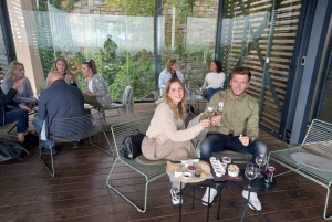 Regione di Stellenbosch, Franshoek, Paarl (20 degustazioni)