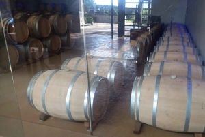 Regione di Stellenbosch, Franshoek, Paarl (20 degustazioni)