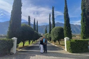 Regione di Stellenbosch, Franshoek, Paarl (20 degustazioni)