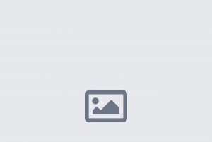 Stellenbosch Giraffe House og Cheetah Outreach med vin