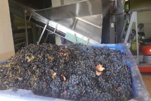 Stellenbosch: Półdniowa wycieczka winiarska