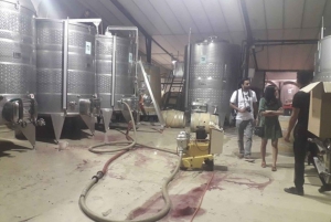 Stellenbosch: Tour di mezza giornata sul vino