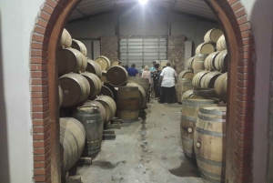Stellenbosch Tour de medio día sobre el vino