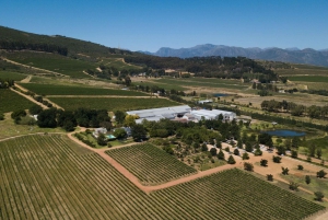 Stellenbosch: Halvdagstur med vin