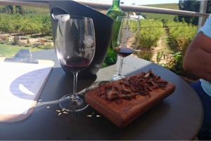 Stellenbosch: Wijntour van een halve dag