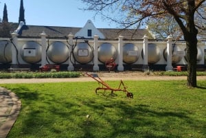Stellenbosch: tour del vino Hop-On Hop-Off Northern Route