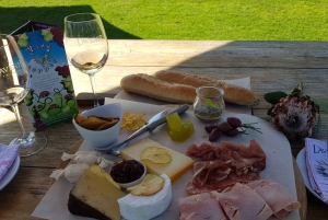 Stellenbosch: Ruta del Vino del Norte Hop-On Hop-Off