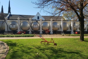 Stellenbosch: Ruta del Vino del Norte Hop-On Hop-Off