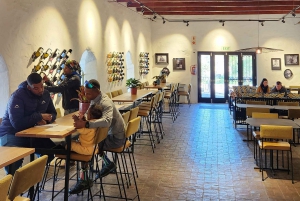 Stellenbosch: Ruta del Vino del Norte Hop-On Hop-Off