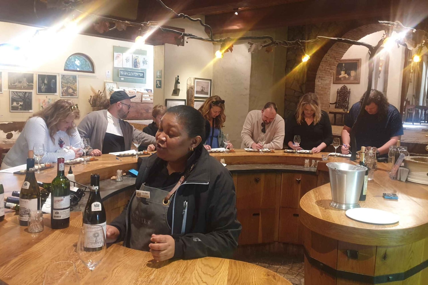 Stellenbosch och Paarl: Privat vin- och ginprovningstur