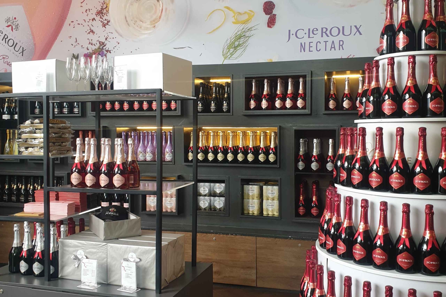 Stellenbosch och Paarl: Privat vin- och ginprovningstur