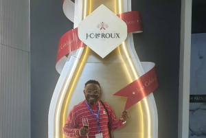 Stellenbosch & Paarl: Private Wine & Gin Tasting Tour