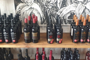 Stellenbosch & Paarl: Private Wine & Gin Tasting Tour