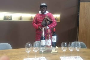 Stellenbosch & Paarl: Private Wine & Gin Tasting Tour