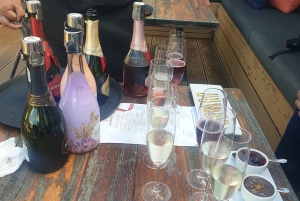 Stellenbosch & Paarl: Private Wine & Gin Tasting Tour