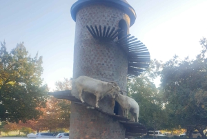 Stellenbosch och Paarl: Privat vin- och ginprovningstur