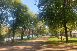 Stellenbosch och Paarl: Privat vin- och ginprovningstur