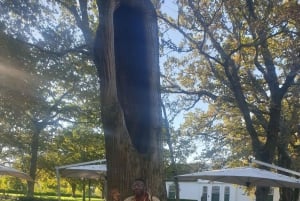 Stellenbosch och Paarl: Privat vin- och ginprovningstur