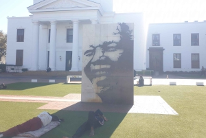 Stellenbosch och Paarl: Privat vin- och ginprovningstur