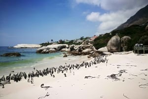 Stellenbosch: Privat tur till Kaphalvön