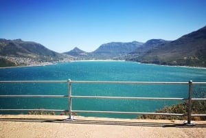 Stellenbosch: Private Magical Cape Peninsula Tour