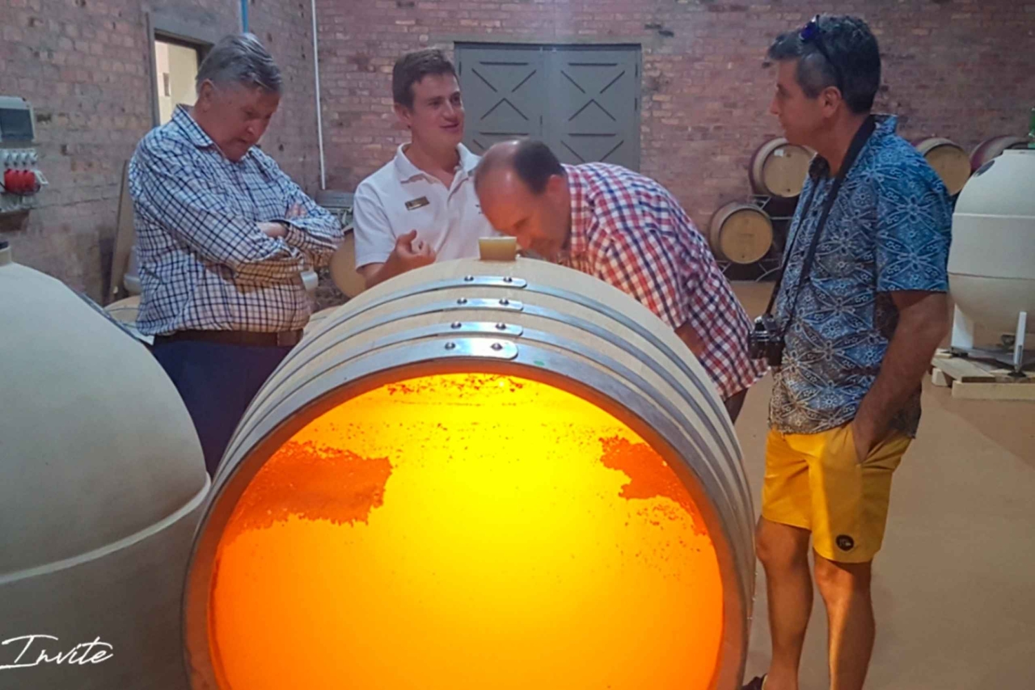 Stellenbosch: tour privato del vino con un enologo.