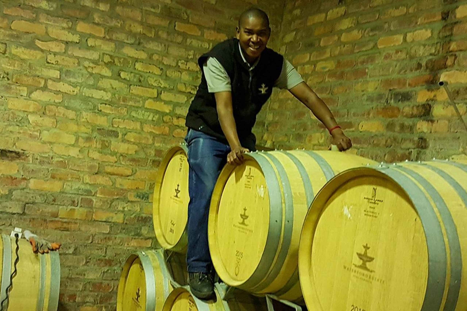 Stellenbosch: tour privato del vino con un enologo.