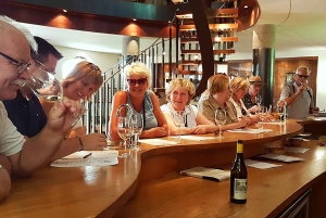 Stellenbosch: tour privato del vino con un enologo.