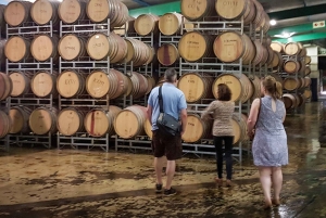 Stellenbosch: tour privato del vino con un enologo.