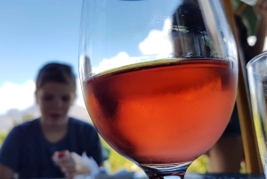 Stellenbosch: tour privato del vino con un enologo.