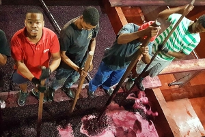 Stellenbosch: tour privato del vino con un enologo.