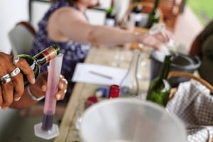 Stellenbosch: Doświadczenie mieszania win z grillowanym jedzeniem