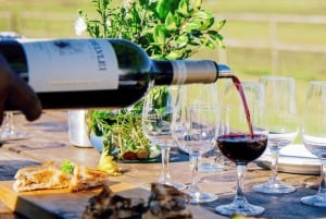 Stellenbosch: Doświadczenie mieszania win z grillowanym jedzeniem