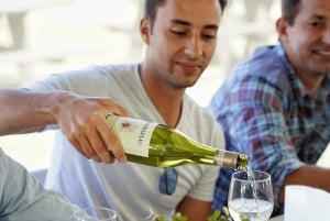 Stellenbosch: Viiniseostuskokemus ja grilliruokien maistelu