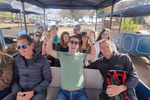 Safari enologico a Stellenbosch da Città del Capo con guida dal vivo