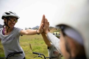 Stellenbosch Winelands downhill gravity Scooter