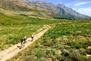 Stellenbosch Winelands downhill gravity Scooter