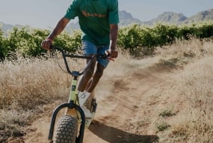 Stellenbosch Winelands downhill gravity Scooter