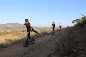 Escursione in scooter nelle Winelands di Stellenbosch: Valle di Banhoek