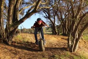 Excursion en scooter à Stellenbosch Winelands : Vallée de Banhoek