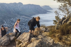 Sonnenaufgangswanderung auf dem Lion's Head
