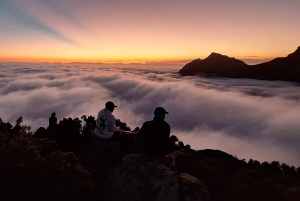 Sonnenaufgangswanderung auf dem Lion's Head