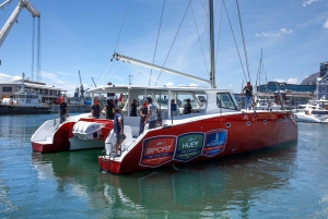 رحلة غروب الشمس - ووتر فرنت كيب تاون (بما في ذلك التوصيل من الفندق)